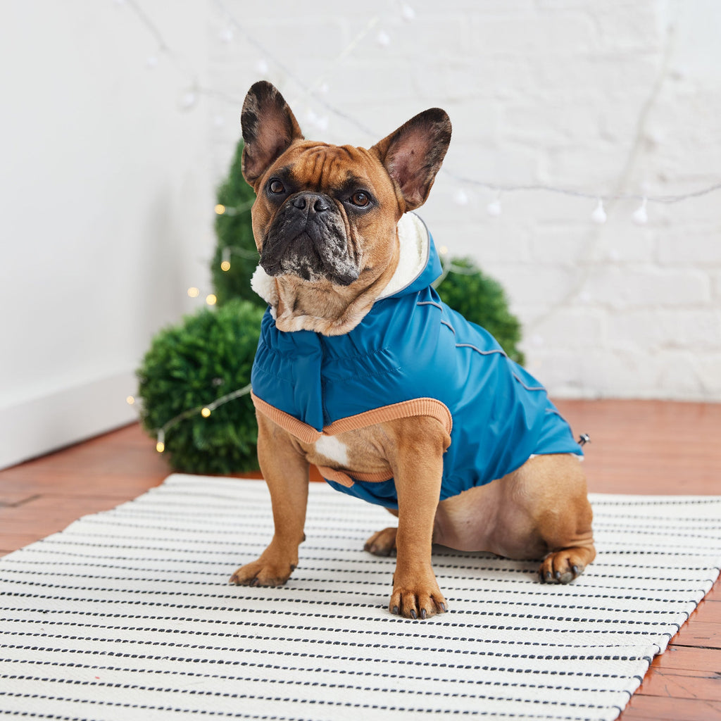 GF PET Insulated Dog Raincoat - Dark Blue