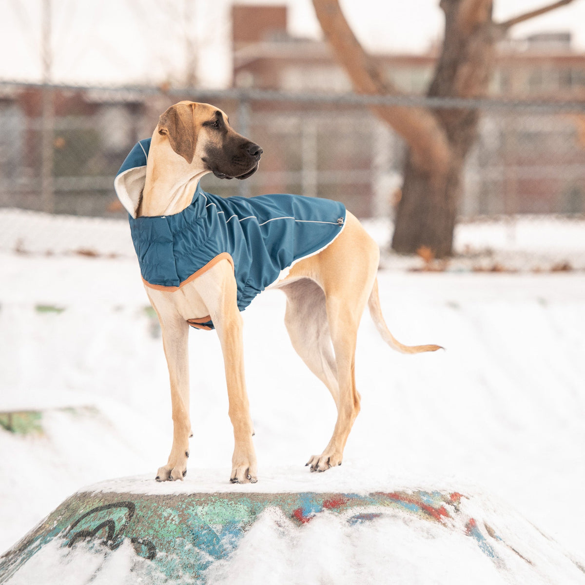 GF PET Insulated Dog Raincoat - Dark Blue