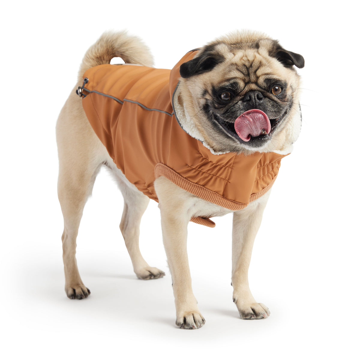 GF PET Insulated Dog Raincoat - Hazel