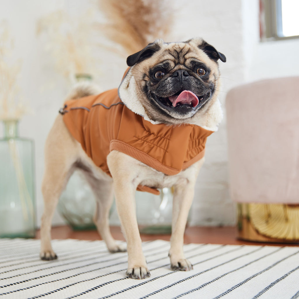 GF PET Insulated Dog Raincoat - Hazel