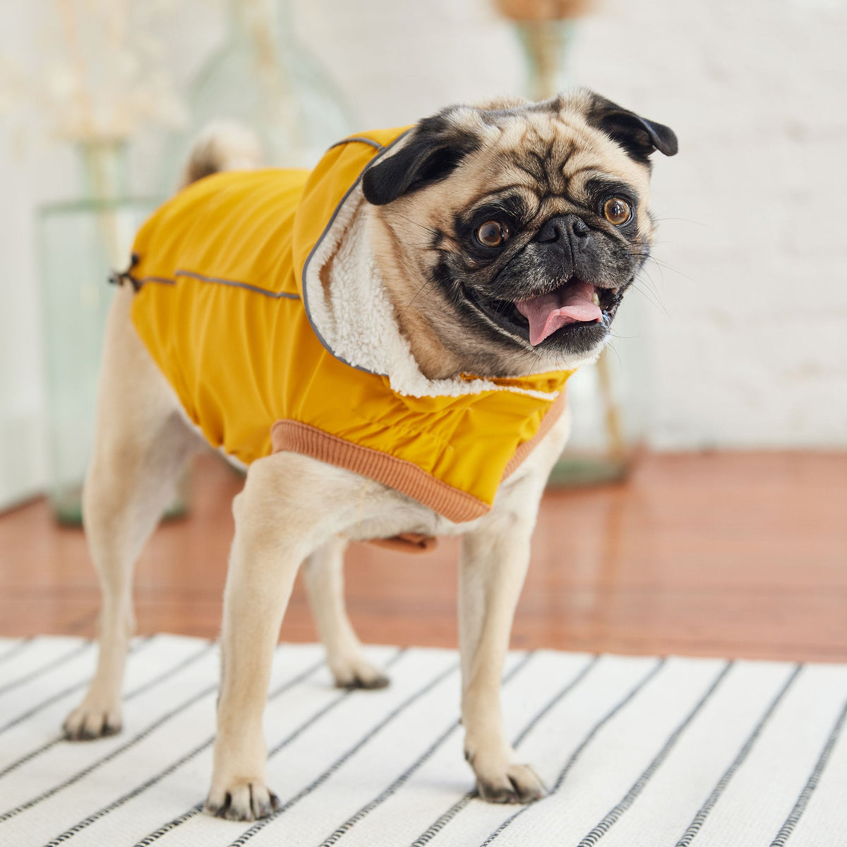 GF PET Insulated Dog Raincoat - Yellow