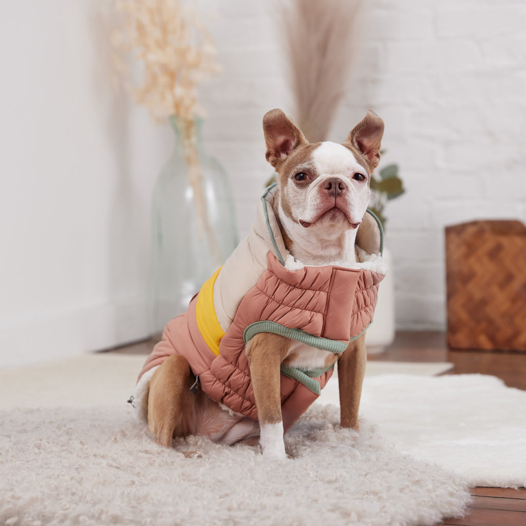 GF PET Camplife Dog Puffer Jacket - Clay