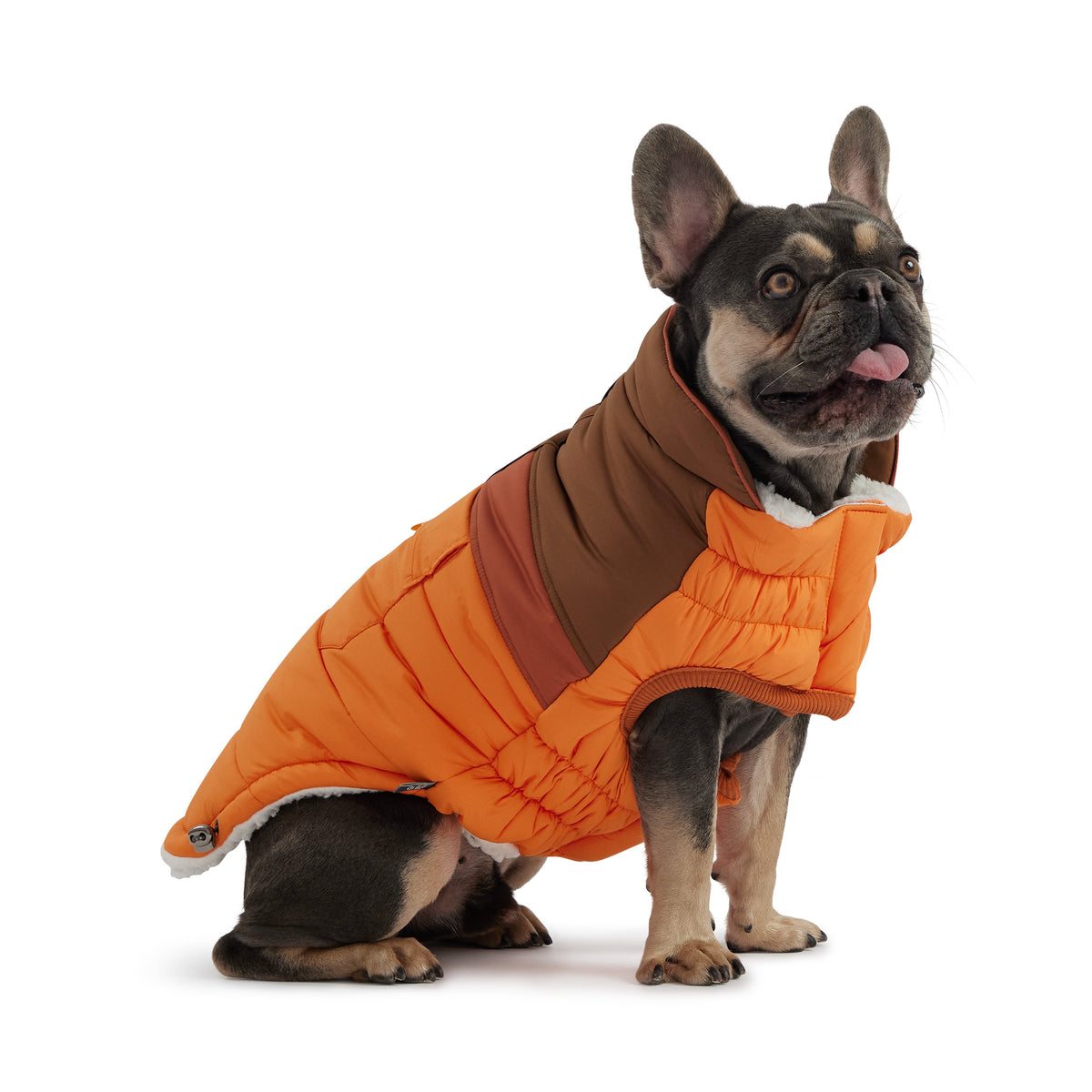 GF PET Camplife Dog Puffer Jacket - Orange