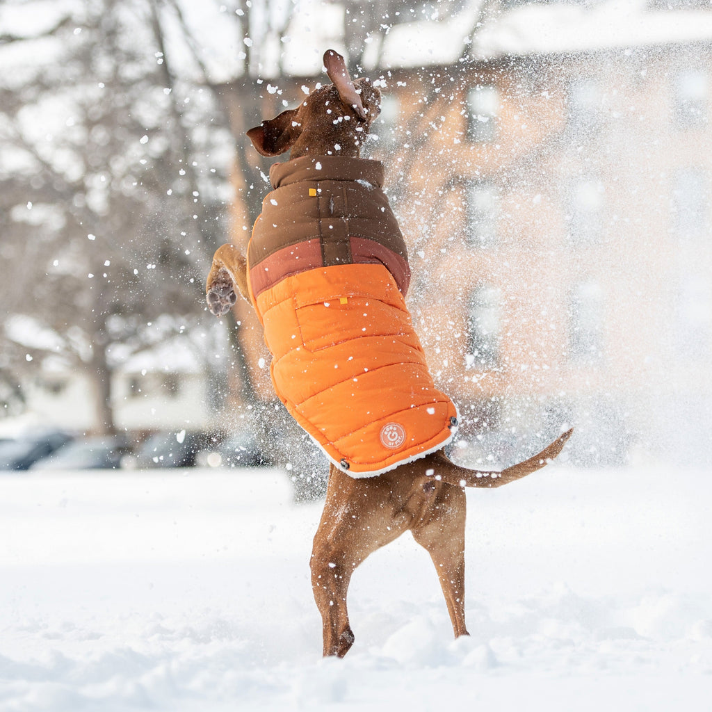 GF PET Camplife Dog Puffer Jacket - Orange
