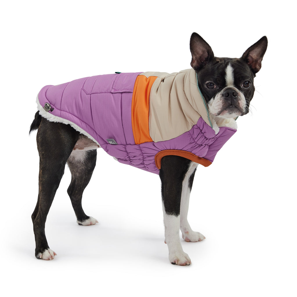 GF PET Camplife Dog Puffer Jacket - Purple
