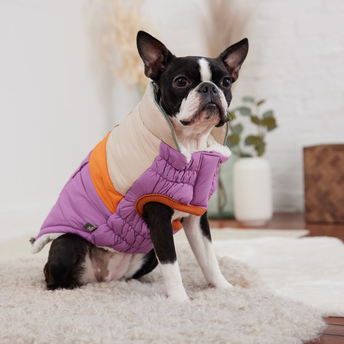 GF PET Camplife Dog Puffer Jacket - Purple