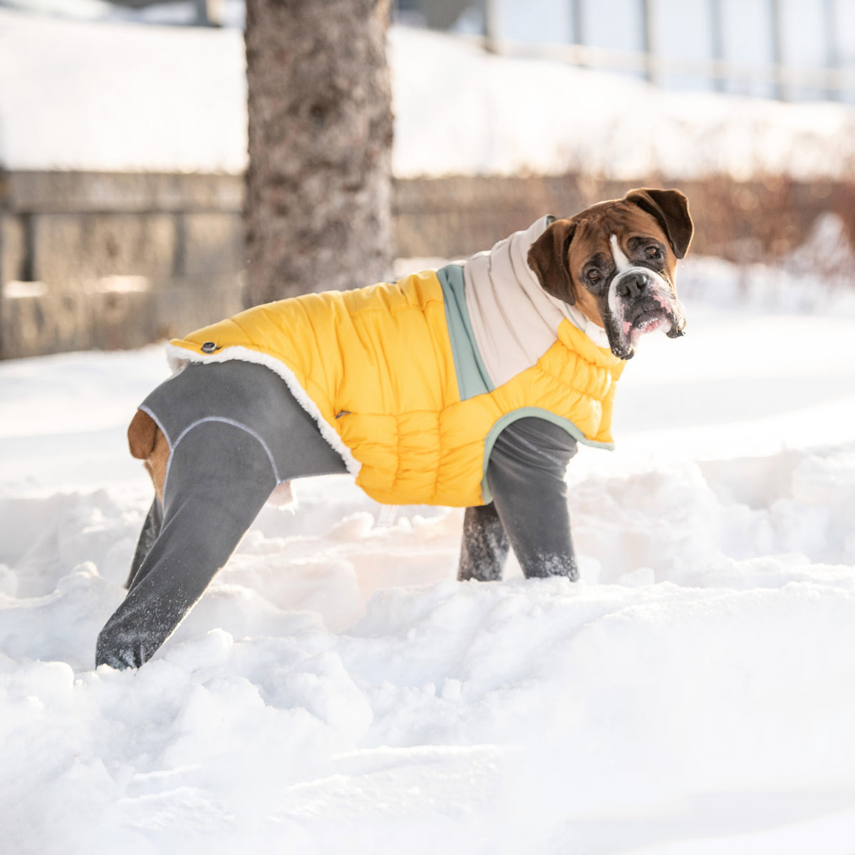 GF PET Camplife Dog Puffer Jacket - Yellow