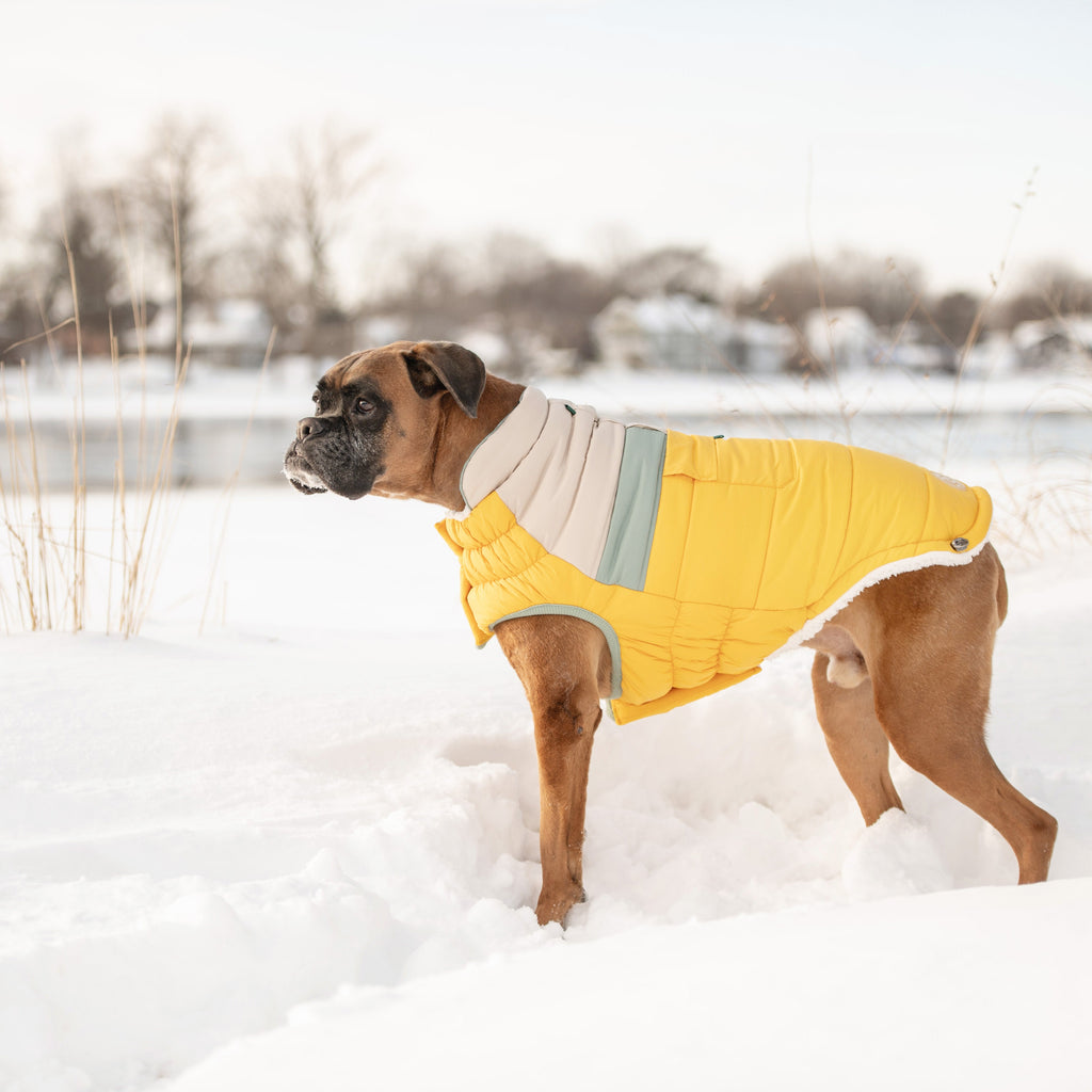 GF PET Camplife Dog Puffer Jacket - Yellow