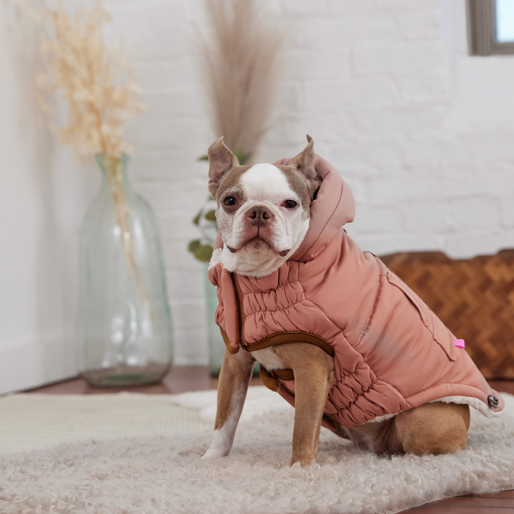 GF PET Arctic Dog Parka - Clay