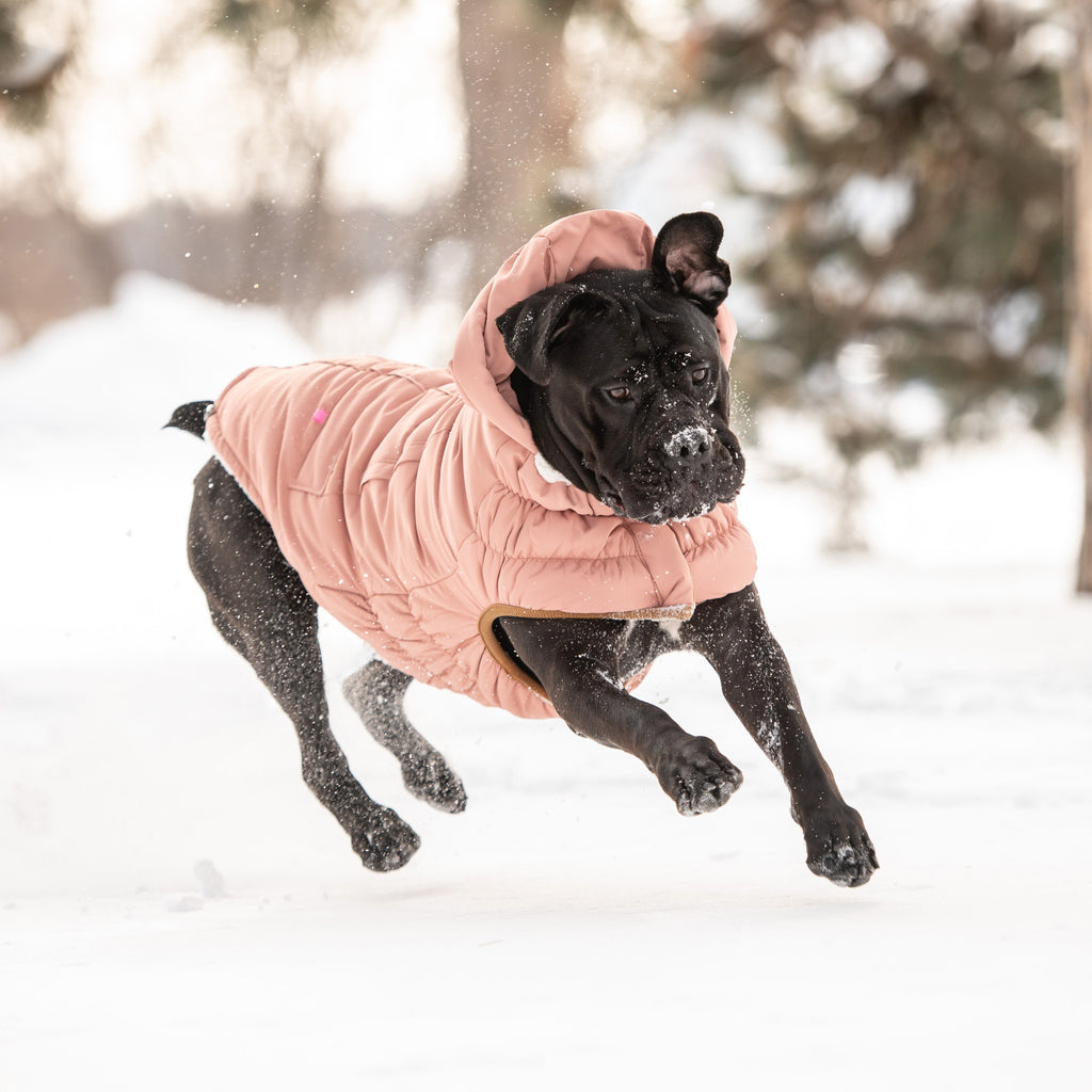 GF PET Arctic Dog Parka - Clay