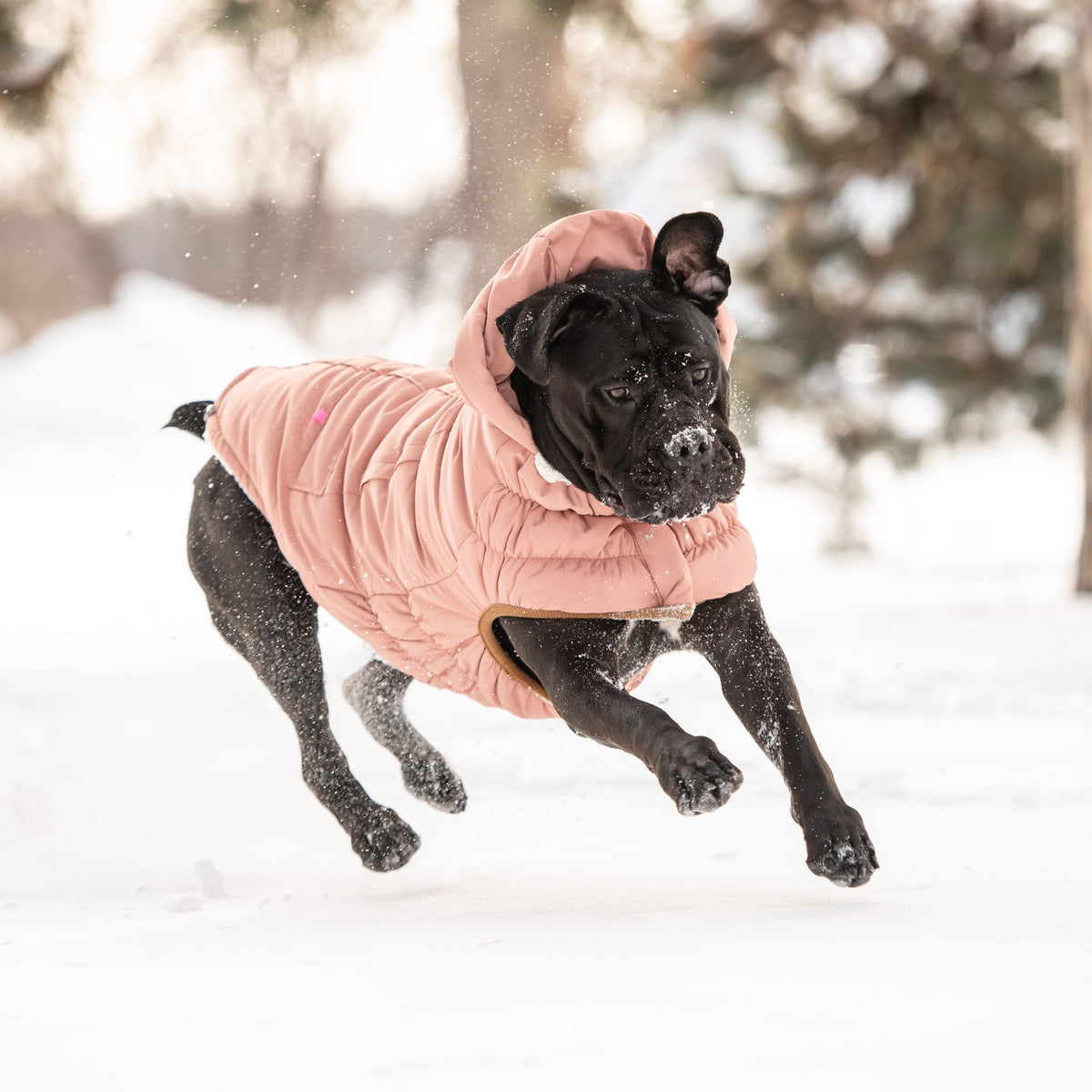 GF PET Arctic Dog Parka - Clay