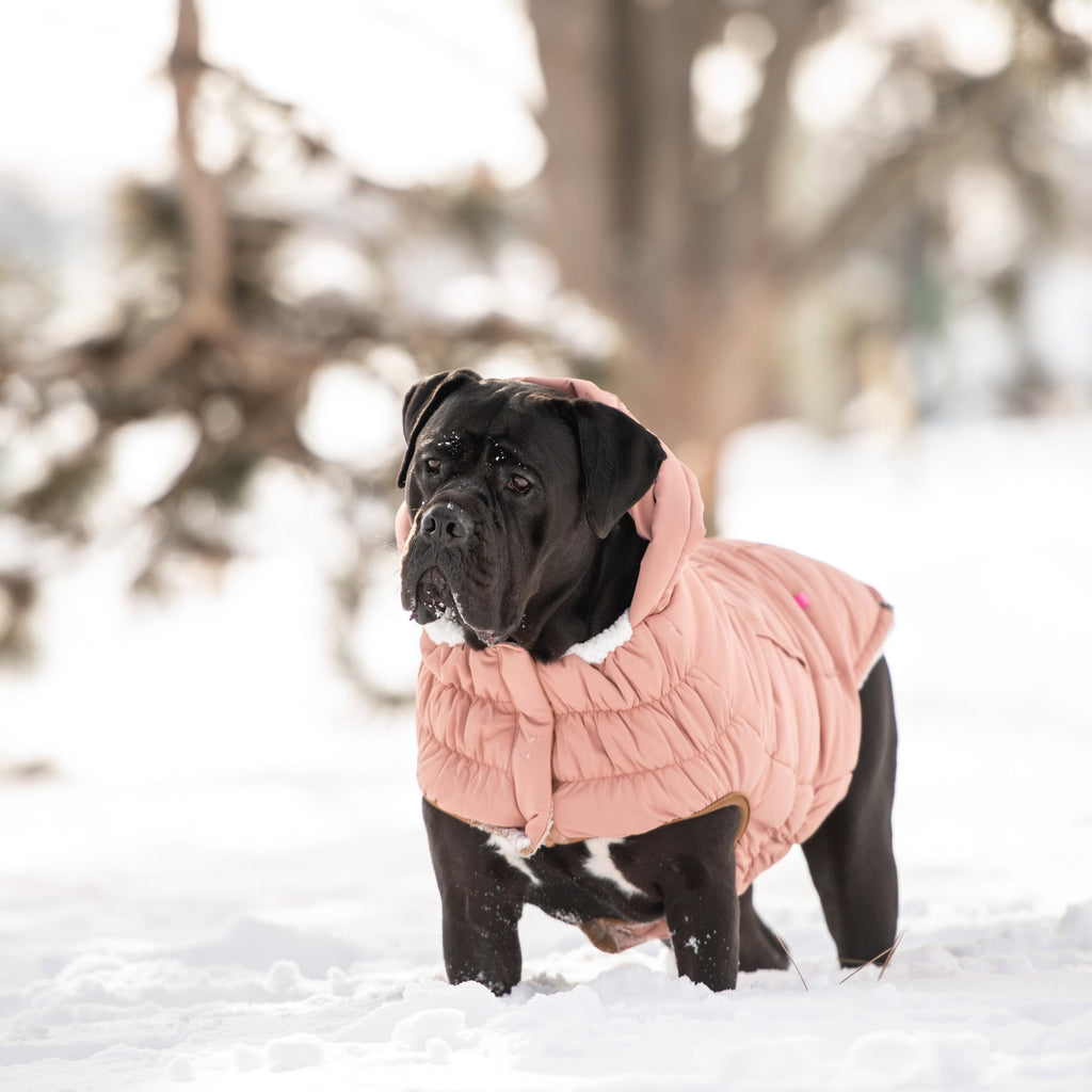 GF PET Arctic Dog Parka - Clay