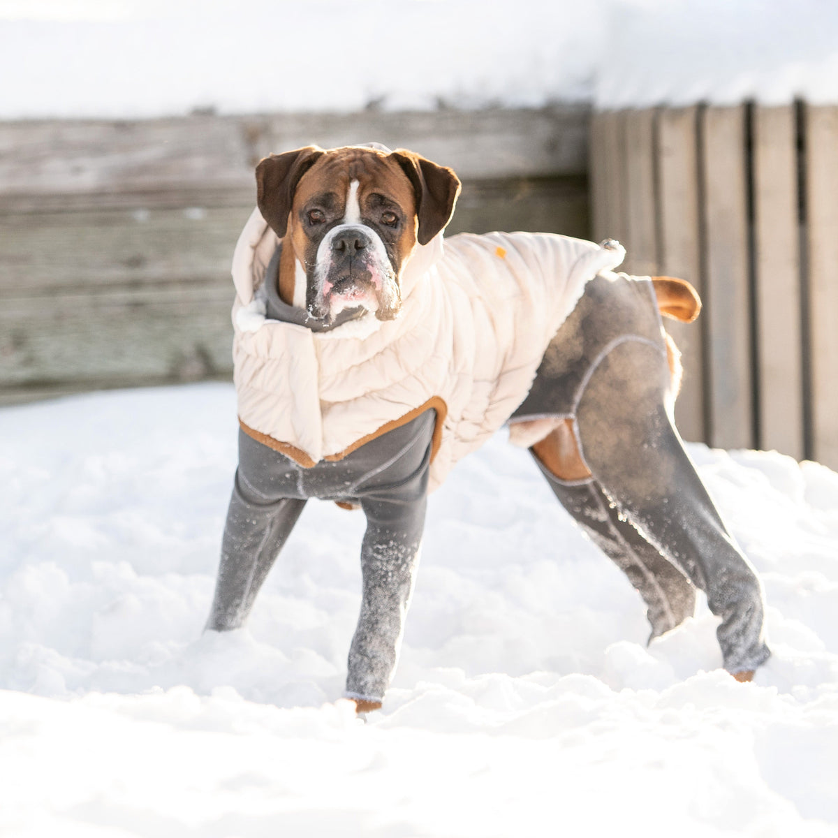 GF PET Arctic Dog Parka - Sand