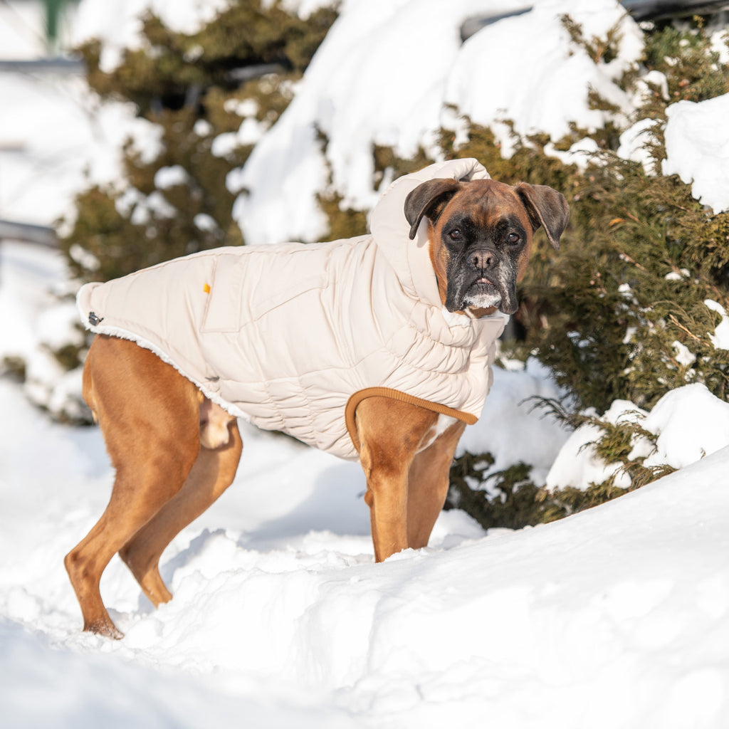 GF PET Arctic Dog Parka - Sand