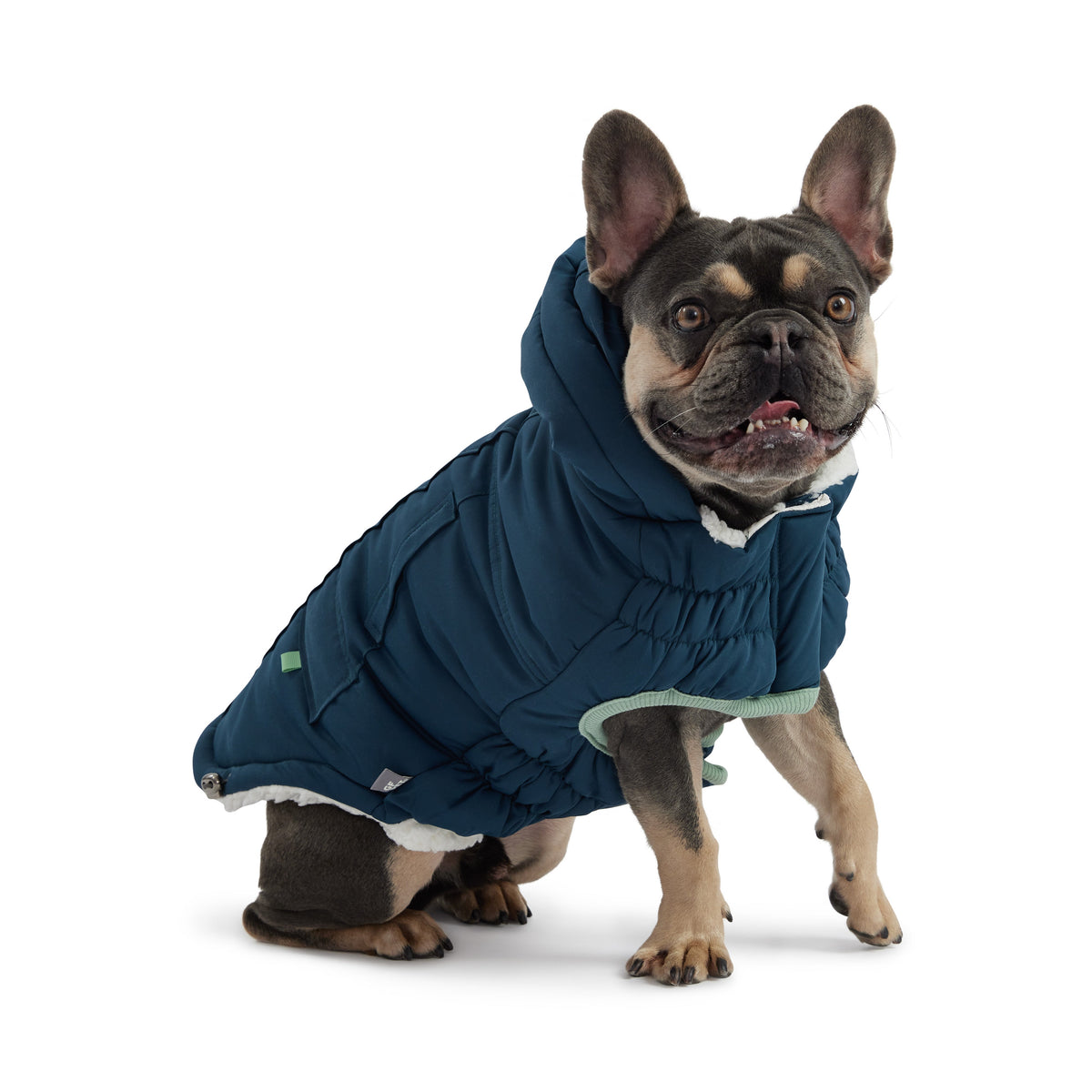 GF PET Arctic Dog Parka - Teal