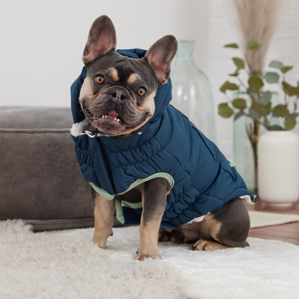 GF PET Arctic Dog Parka - Teal