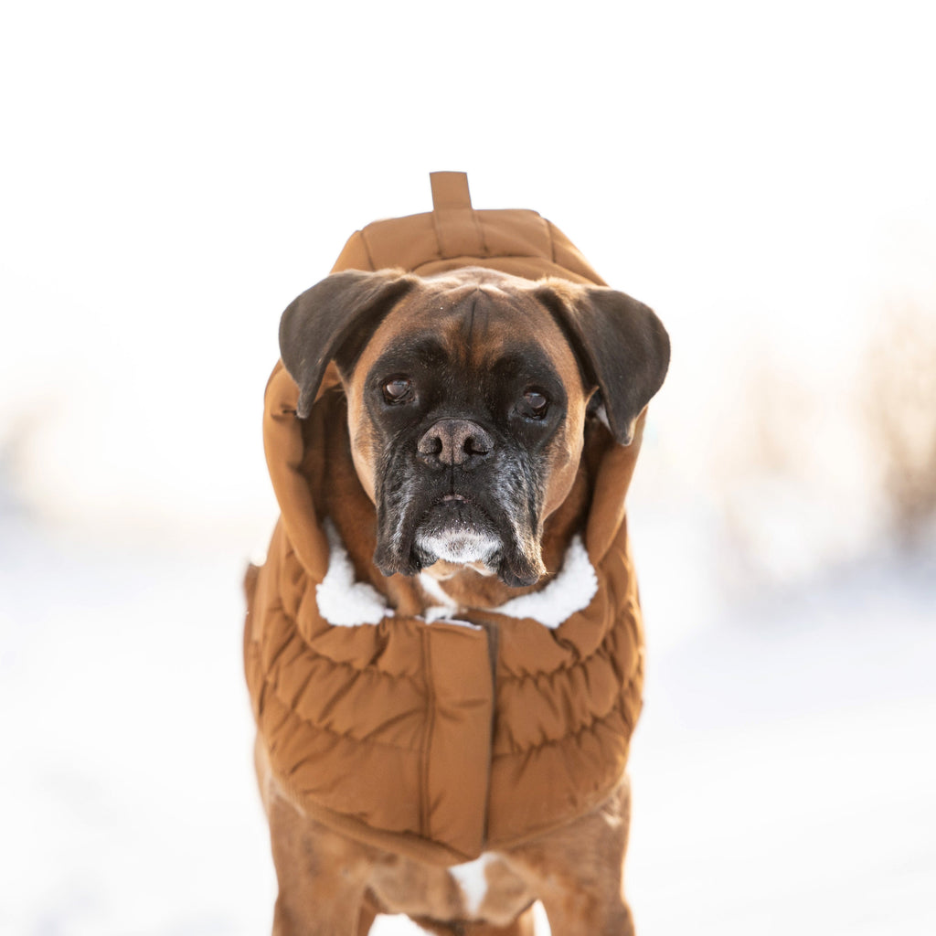 GF PET Arctic Dog Parka - Wood