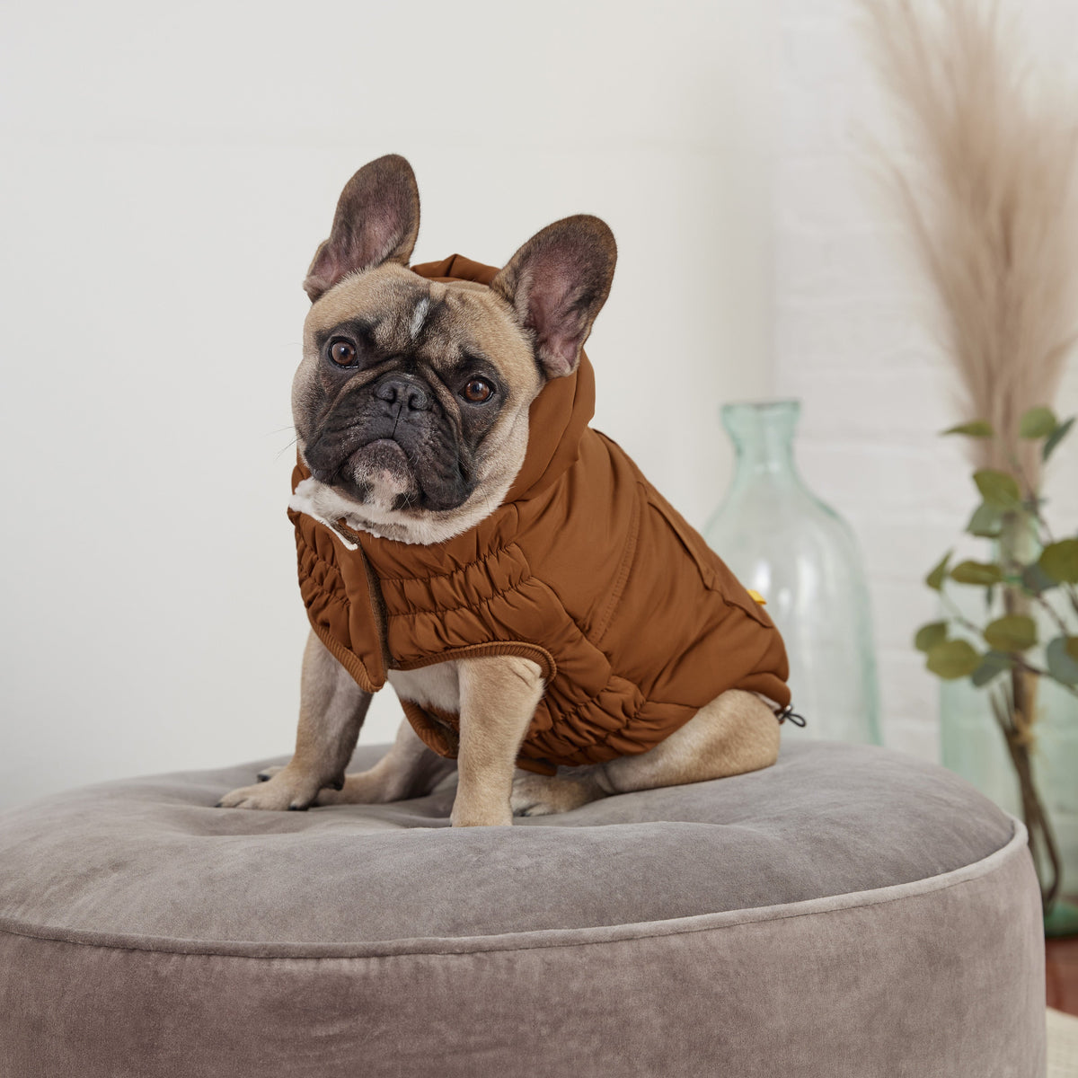 GF PET Arctic Dog Parka - Wood