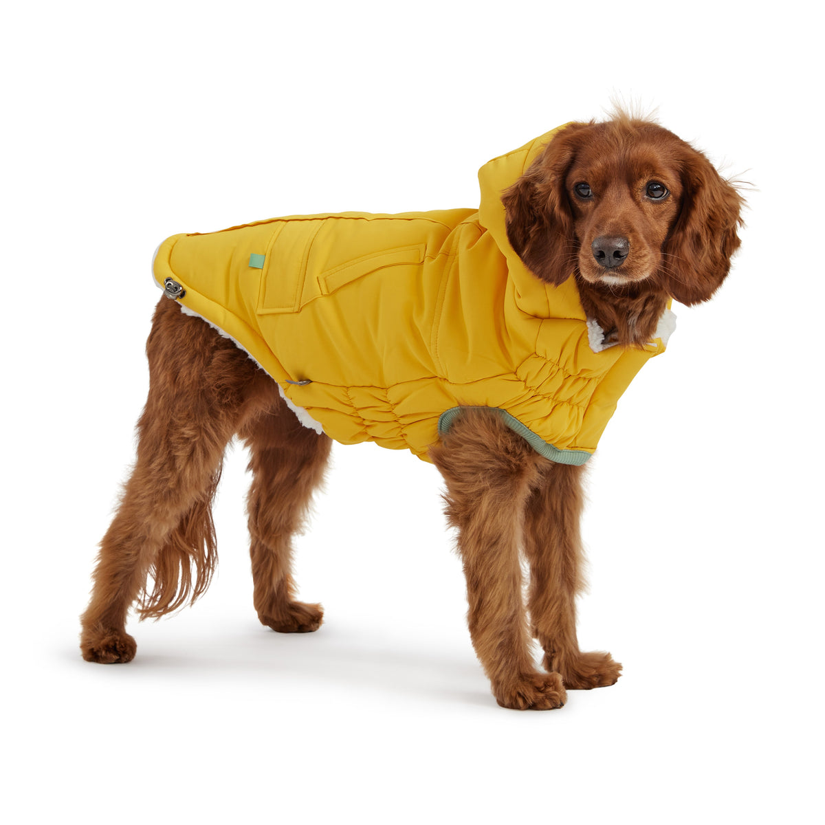GF PET Arctic Dog Parka - Yellow