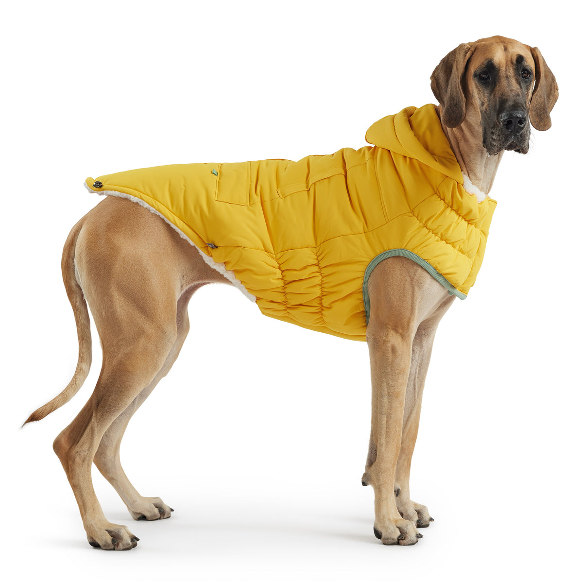 GF PET Arctic Dog Parka - Yellow