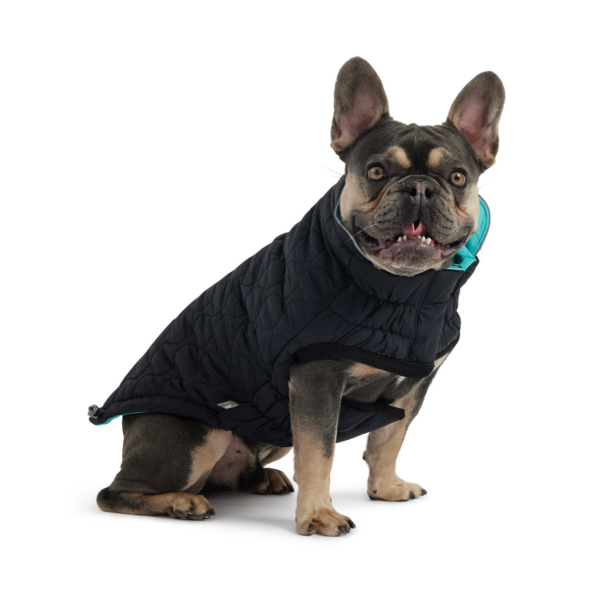 GF PET Reversible Chalet Dog Jacket - Black/Aqua