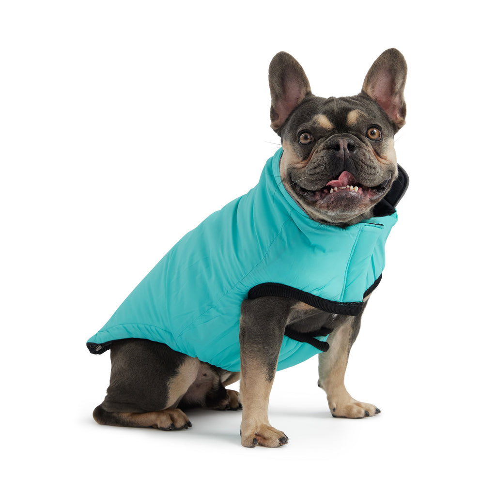 GF PET Reversible Chalet Dog Jacket - Black/Aqua