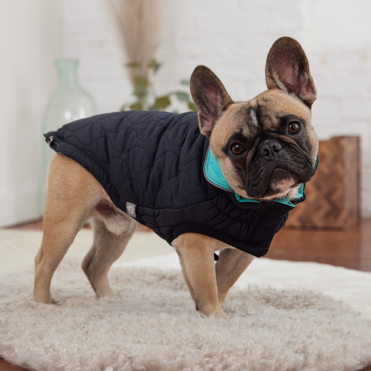 GF PET Reversible Chalet Dog Jacket - Black/Aqua