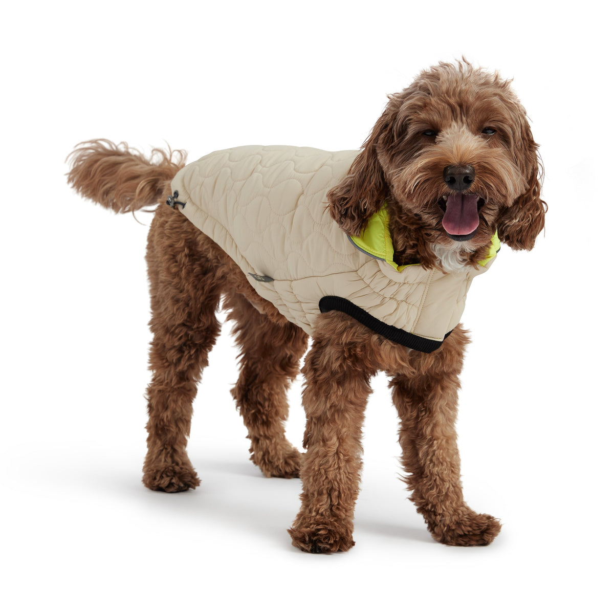 GF PET Reversible Chalet Dog Jacket - Sand/Yellow