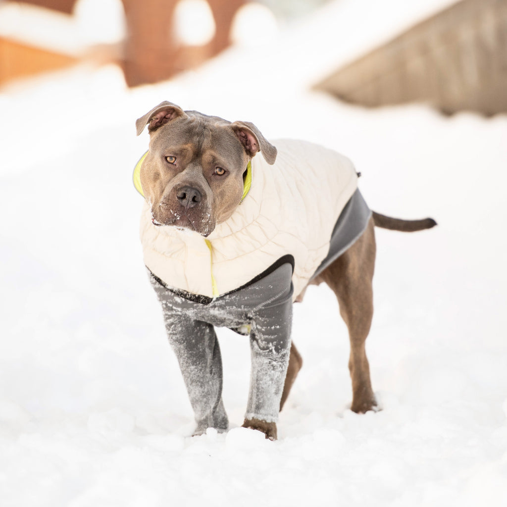 GF PET Reversible Chalet Dog Jacket - Sand/Yellow