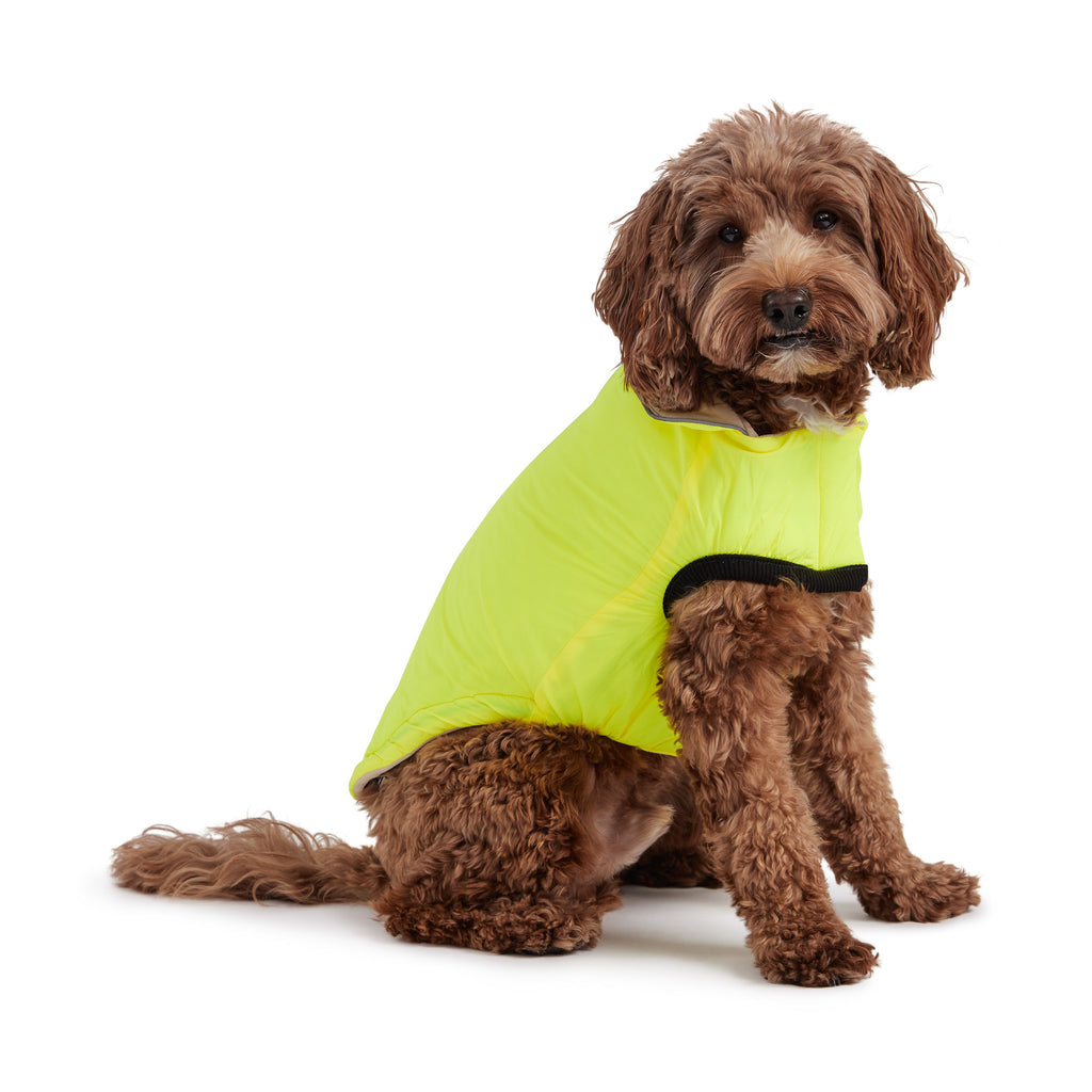 GF PET Reversible Chalet Dog Jacket - Sand/Yellow