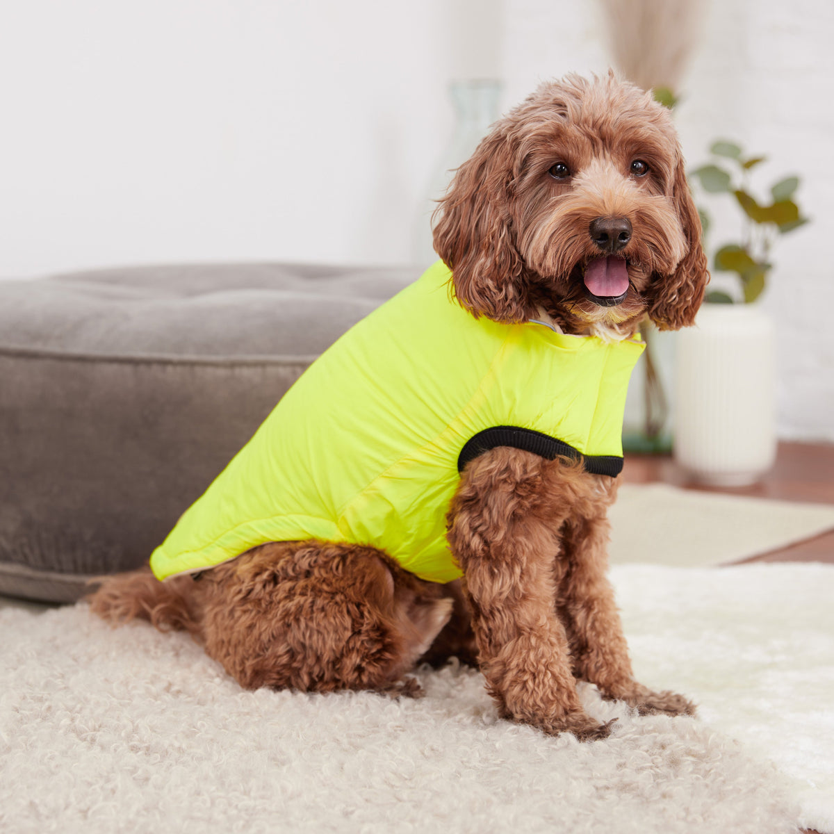 GF PET Reversible Chalet Dog Jacket - Sand/Yellow