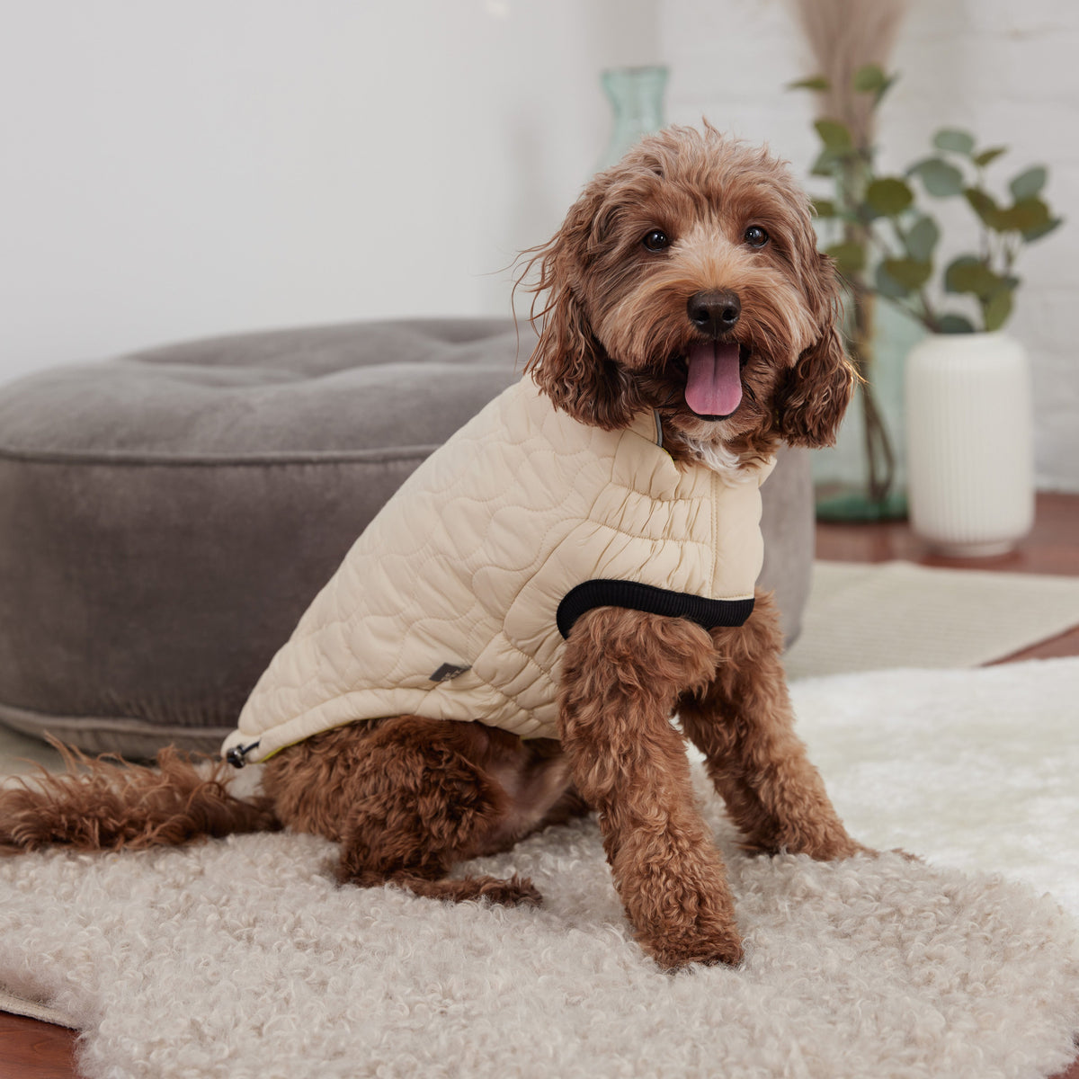 GF PET Reversible Chalet Dog Jacket - Sand/Yellow