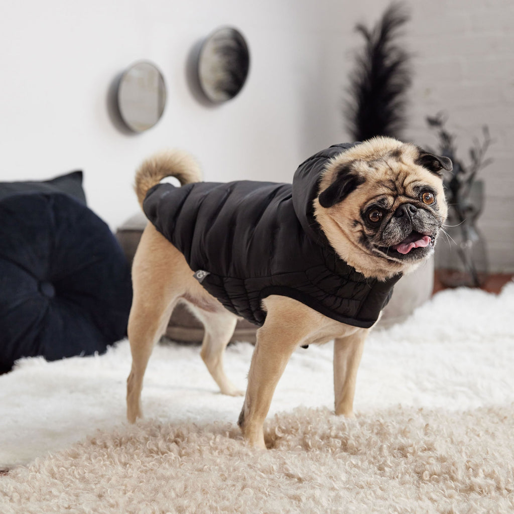GF PET Cloud Dog Parka