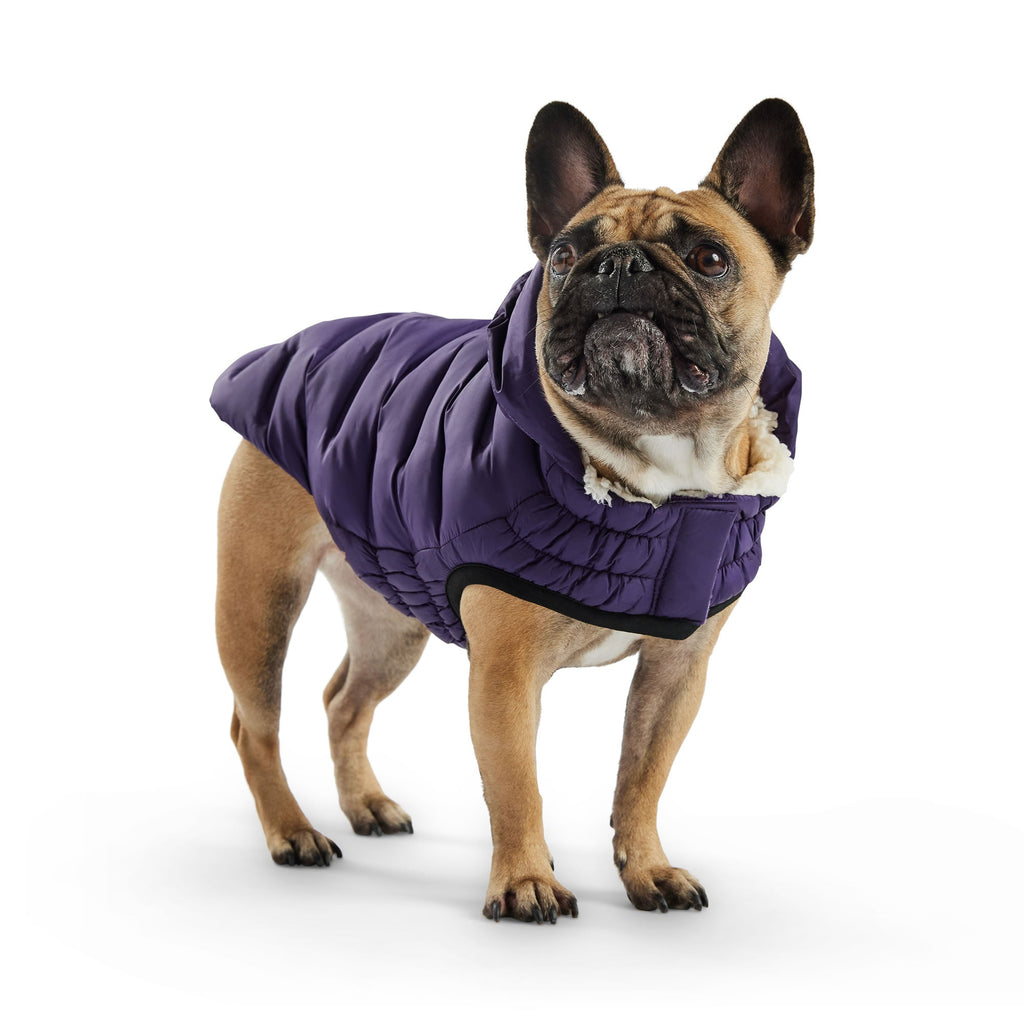 GF PET Cloud Dog Parka