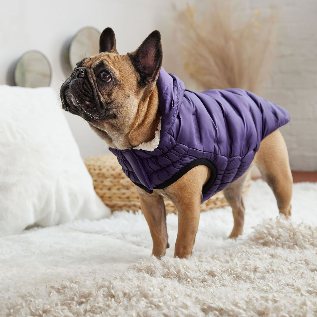 GF PET Cloud Dog Parka