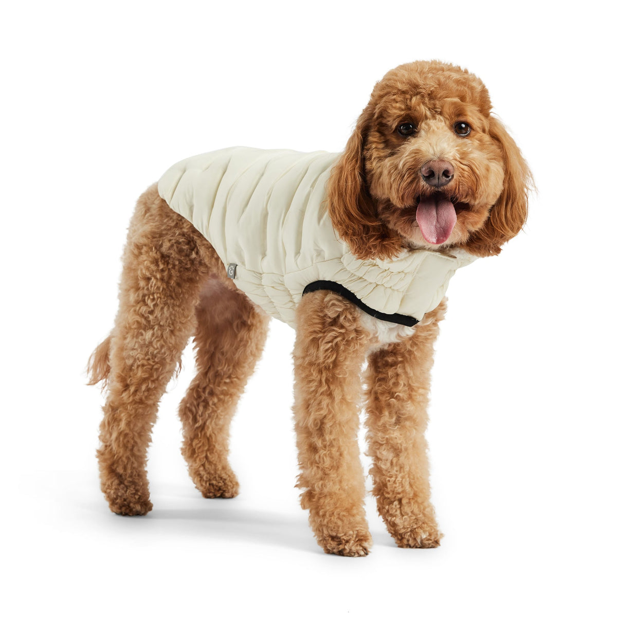 GF PET Cloud Dog Parka