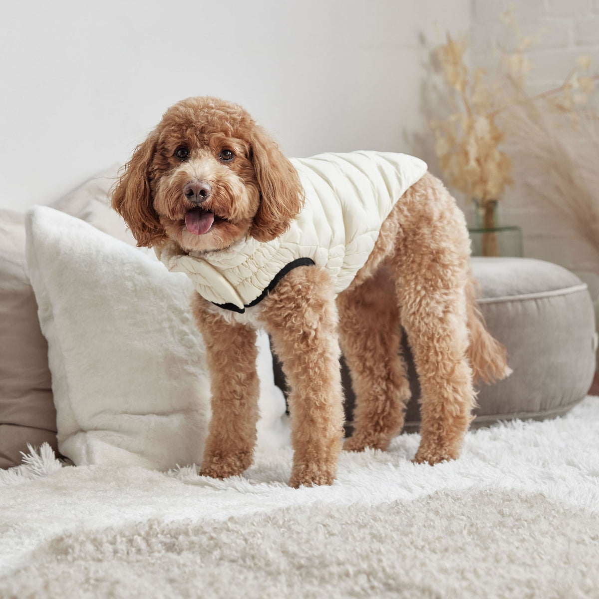 GF PET Cloud Dog Parka