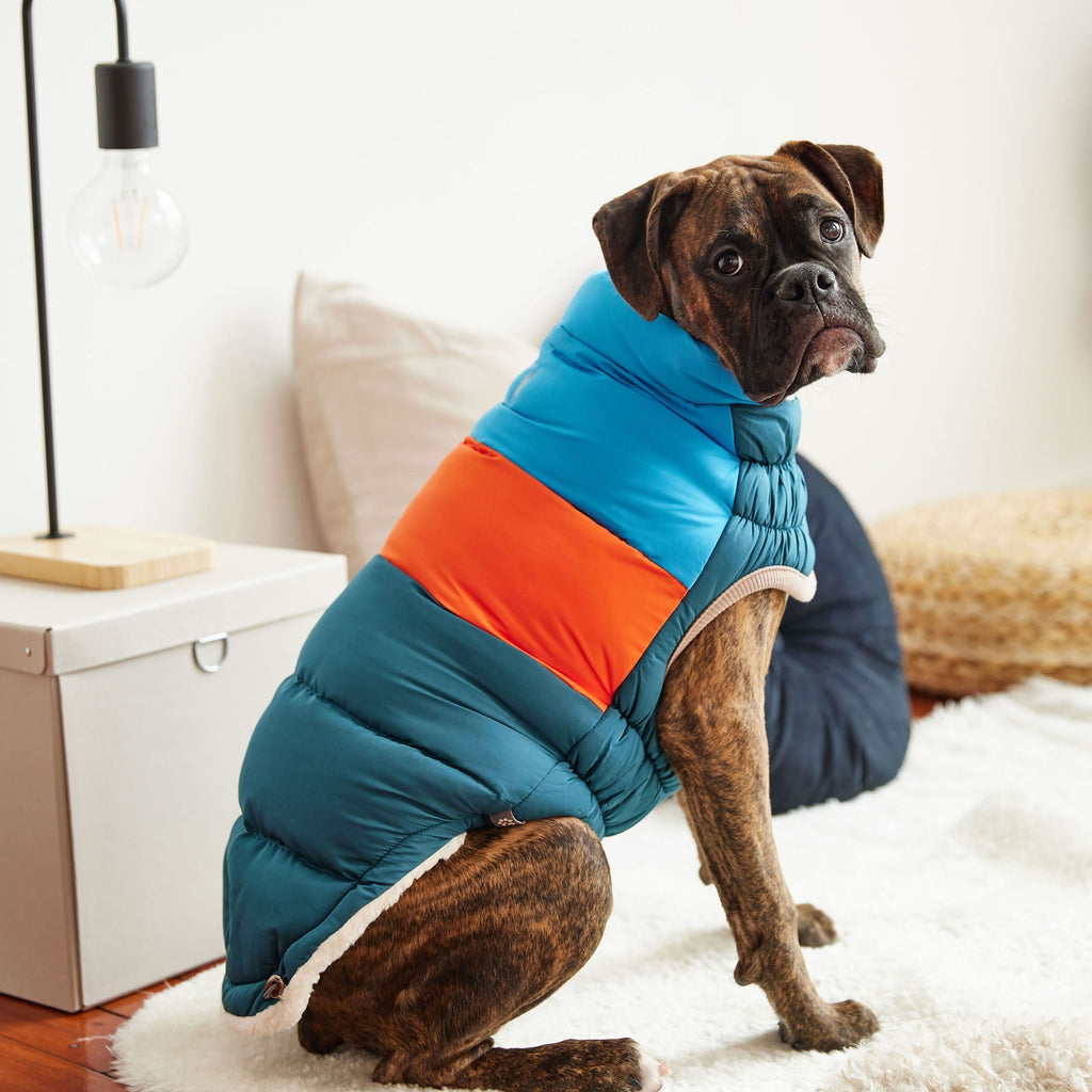 GF PET Color Block Dog Puffer Jacket