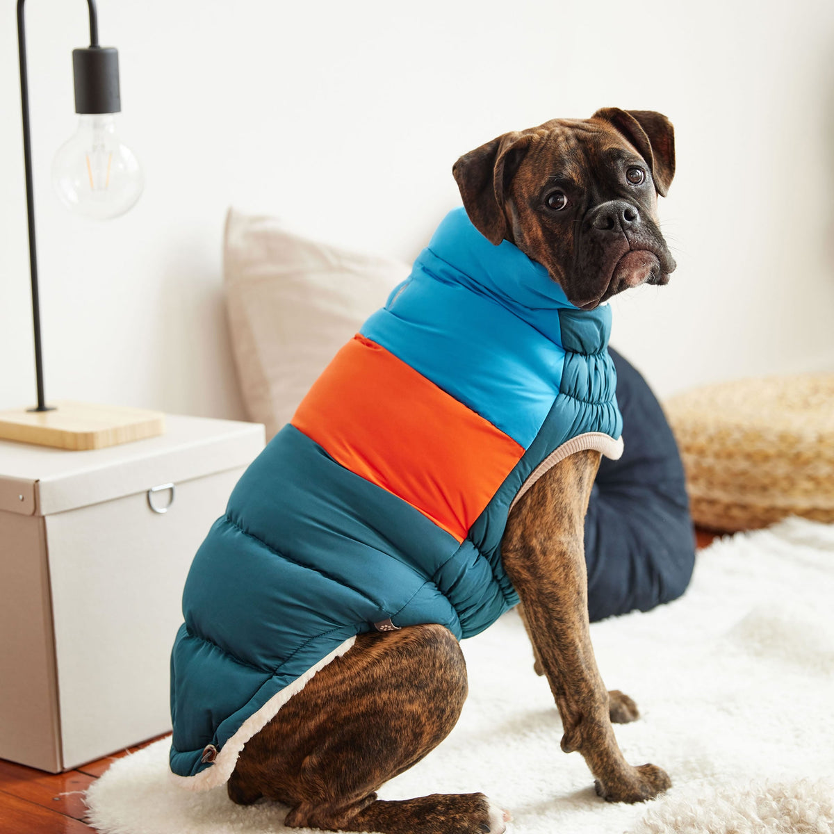 GF PET Color Block Dog Puffer Jacket