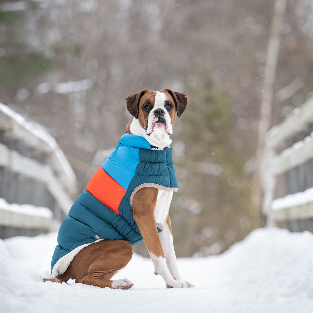 GF PET Color Block Dog Puffer Jacket