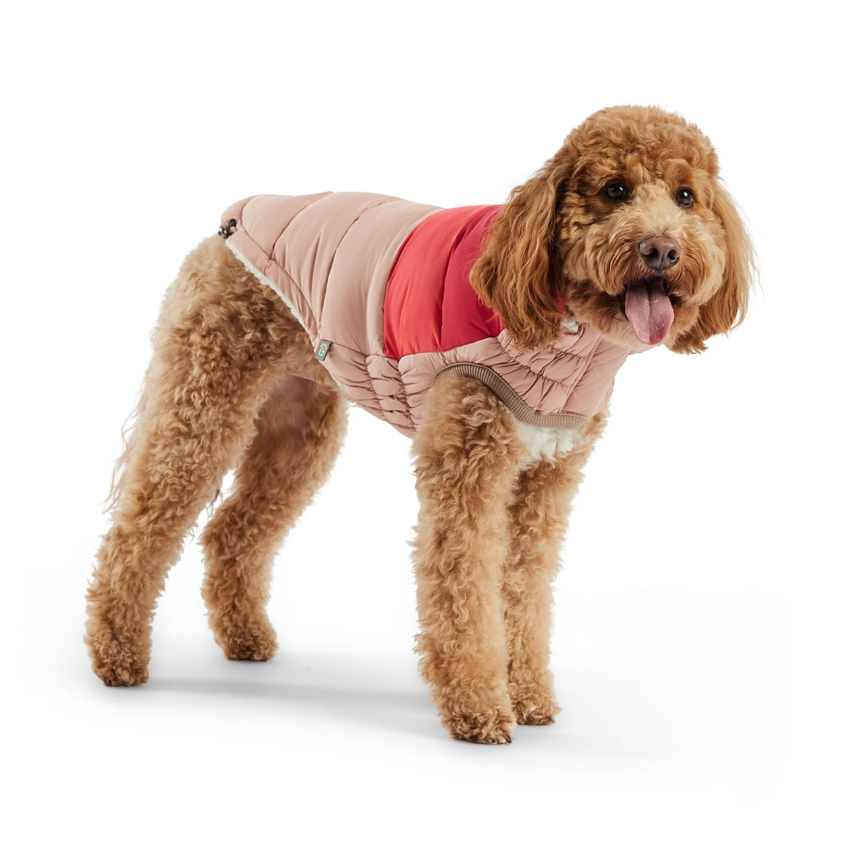 GF PET Color Block Dog Puffer Jacket