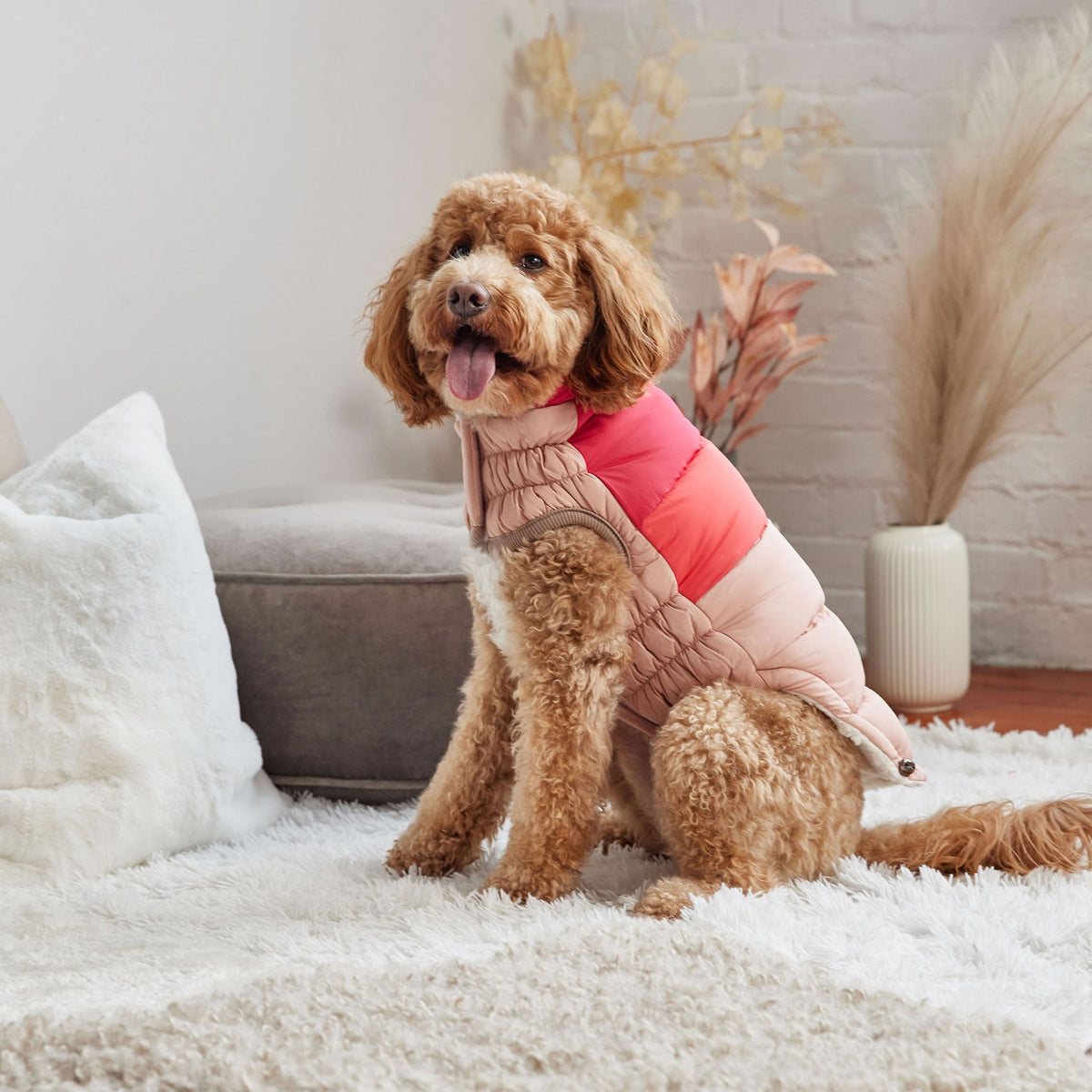 GF PET Color Block Dog Puffer Jacket