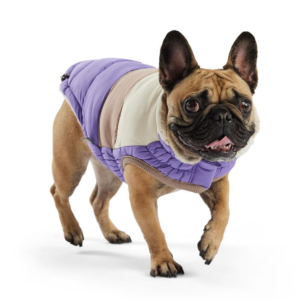 GF PET Color Block Dog Puffer Jacket