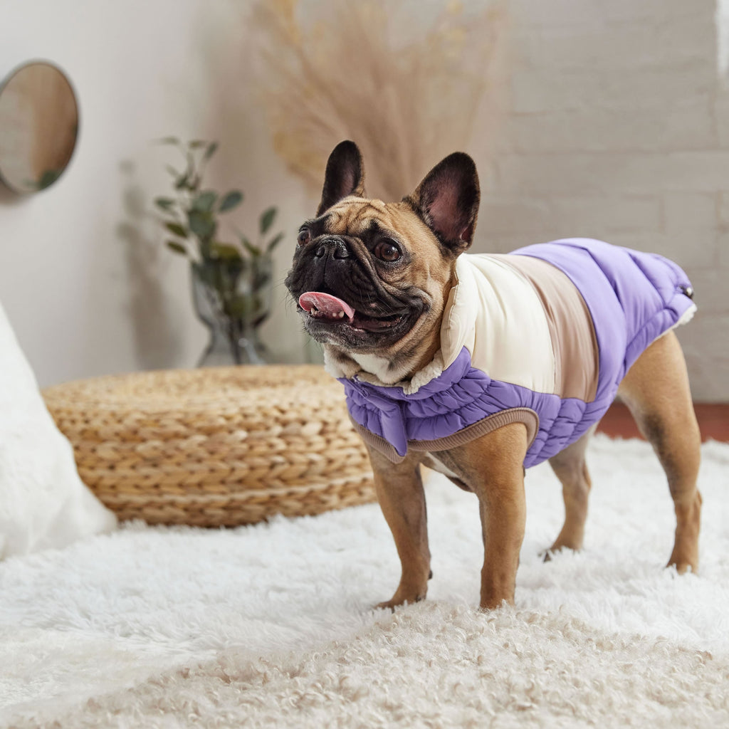 GF PET Color Block Dog Puffer Jacket