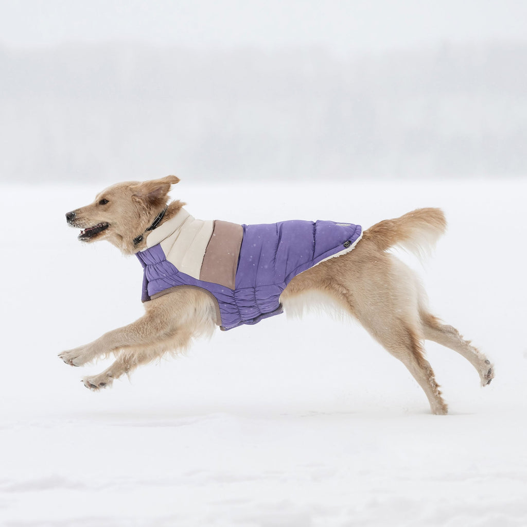 GF PET Color Block Dog Puffer Jacket