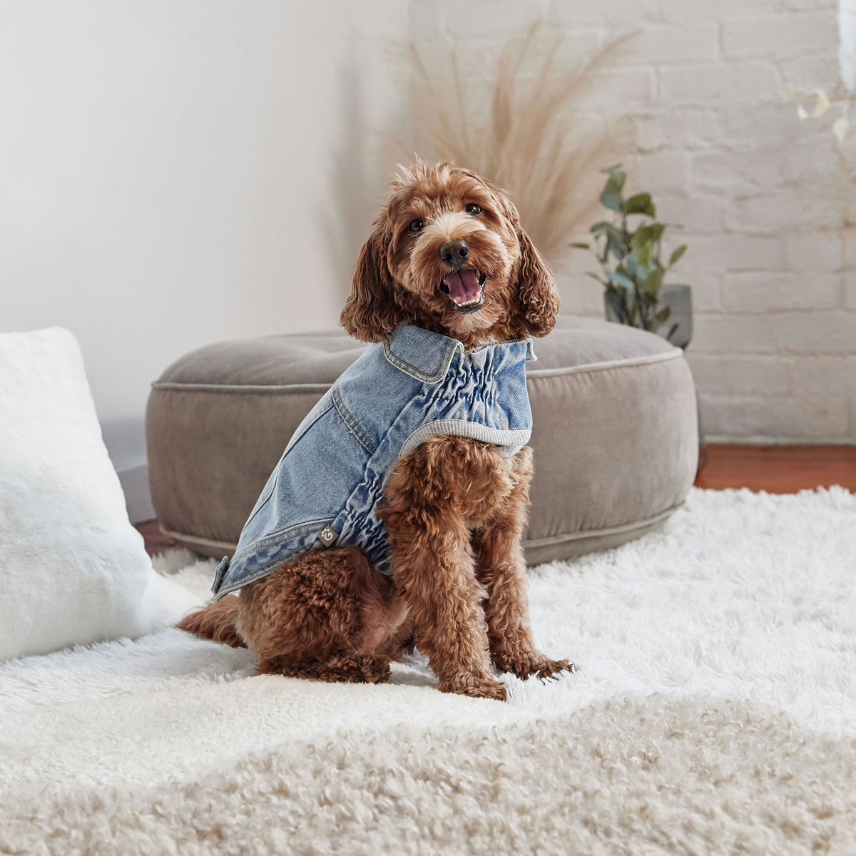 GF PET Denim Dog Jacket All Season - Light Wash