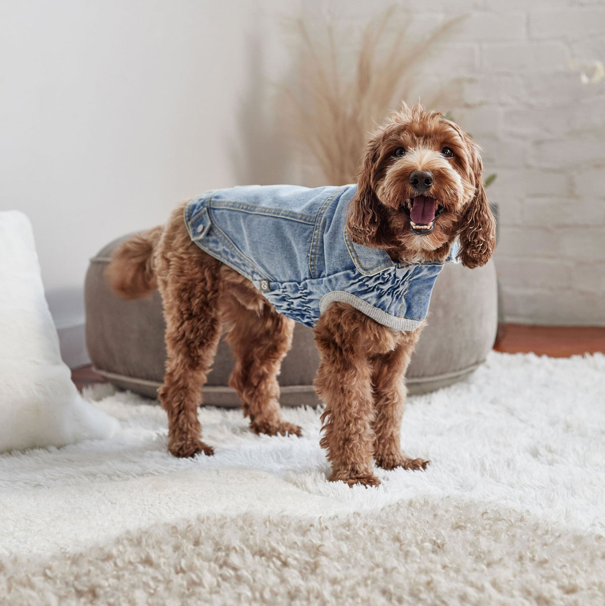 GF PET Denim Dog Jacket All Season - Light Wash