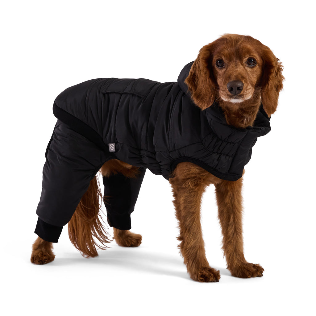 GF PET Odyssey Dog Snowsuit