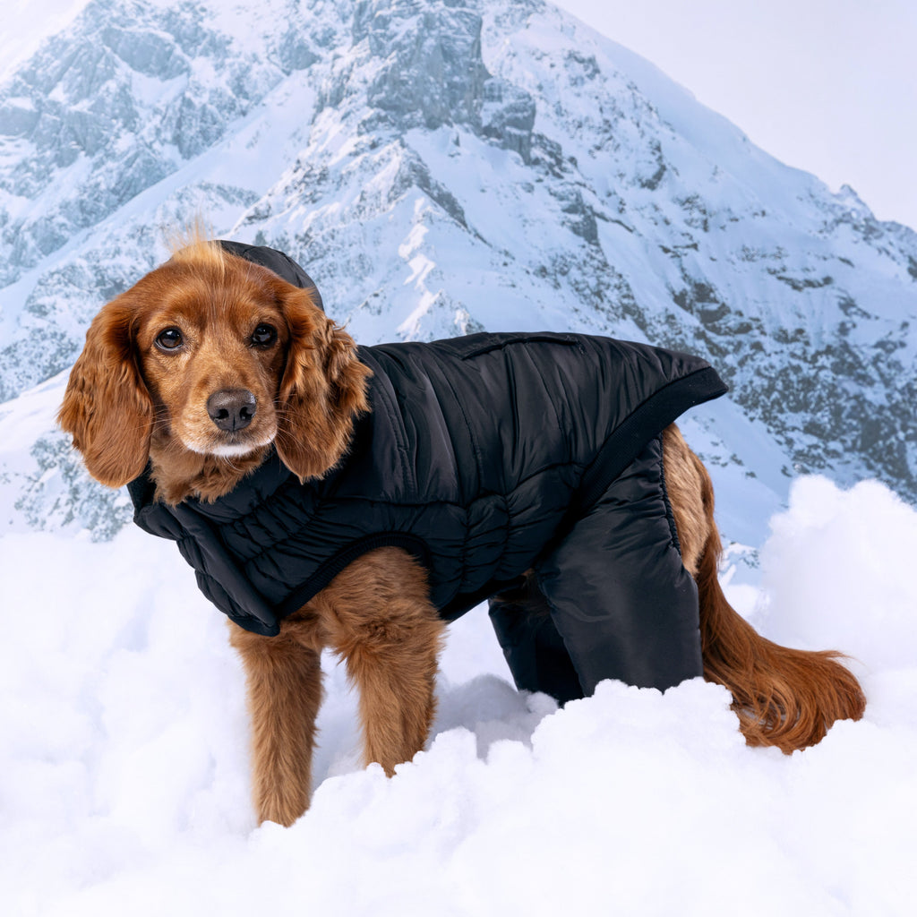 GF PET Odyssey Dog Snowsuit