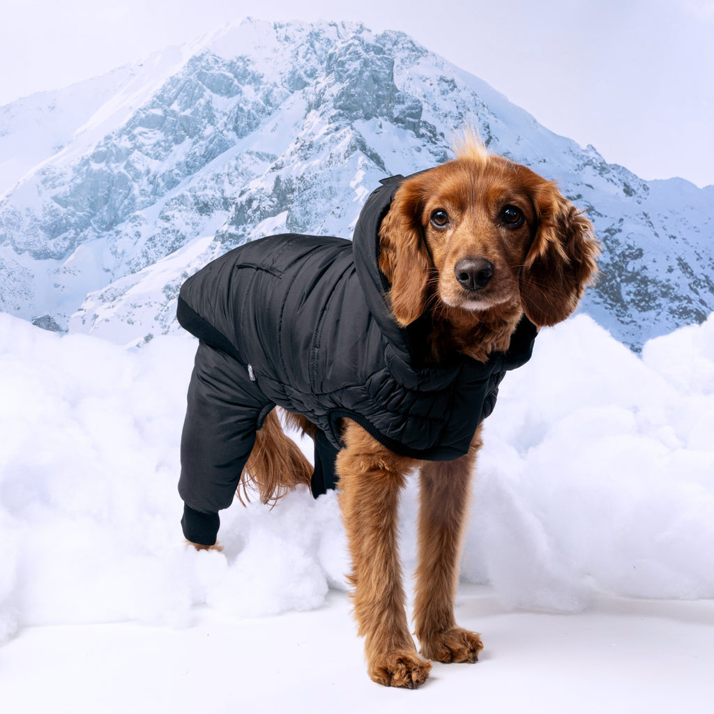 GF PET Odyssey Dog Snowsuit
